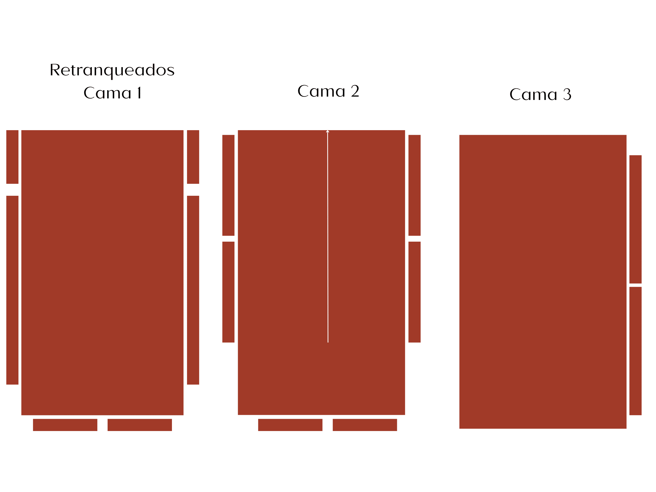 Luxe Elegante y Minimalista