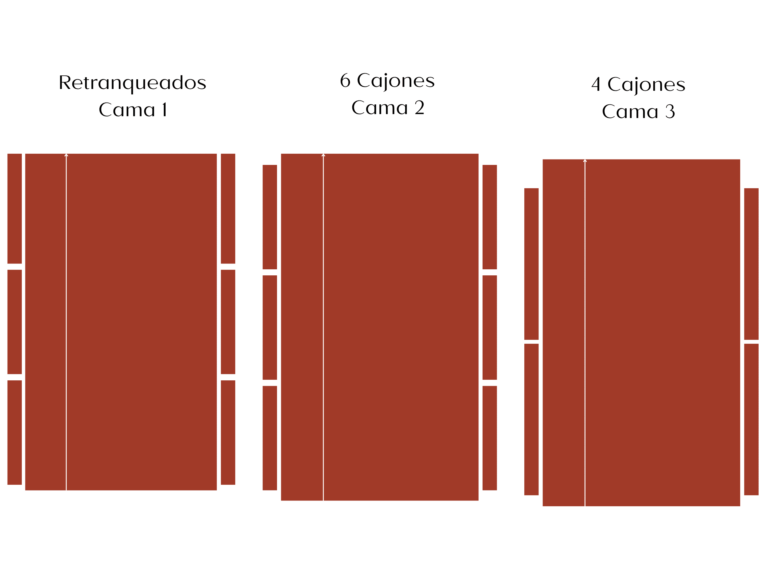 Luxe Elegante y Minimalista